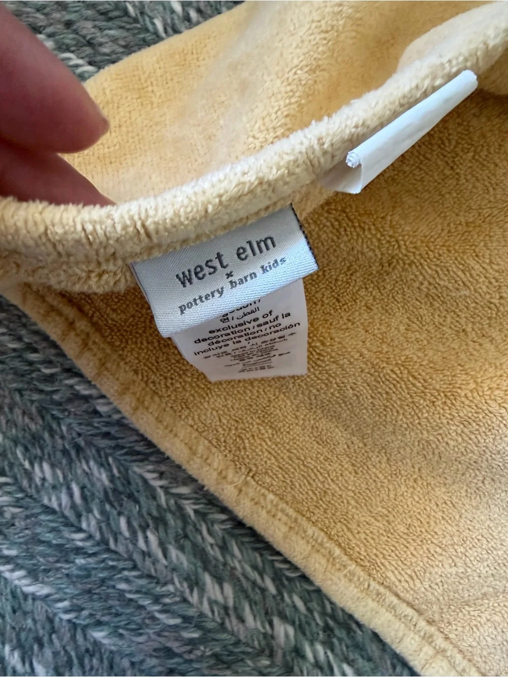 West Elm plush hooded